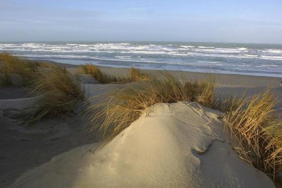Cote Dune Le Crotoy Exterior foto